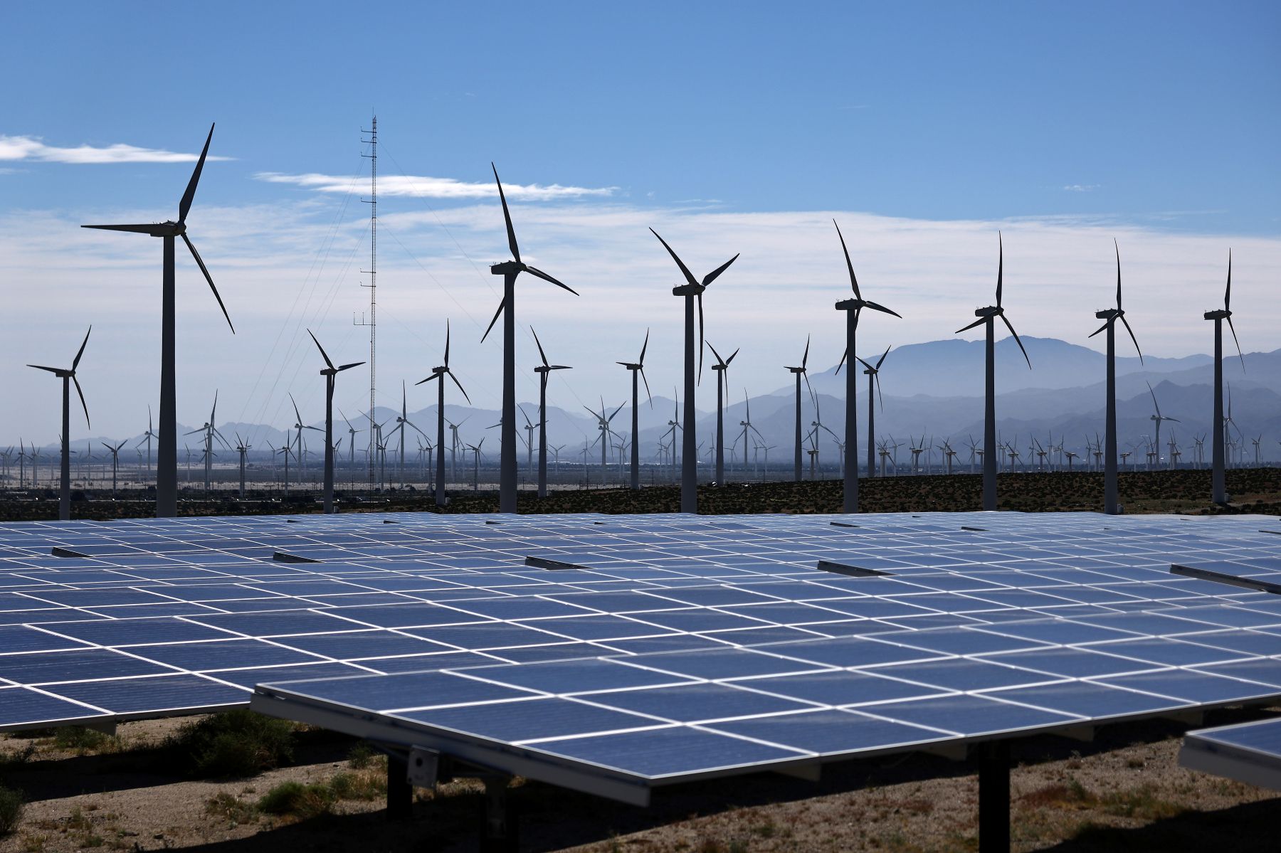 Ground view of a large wind and solar panel farm