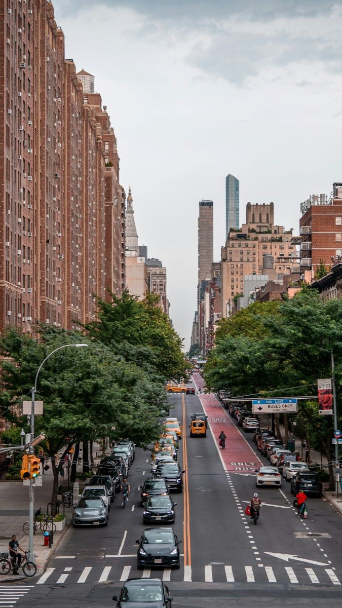 Traffic and bikers riding through a tree-lined street in New York City
