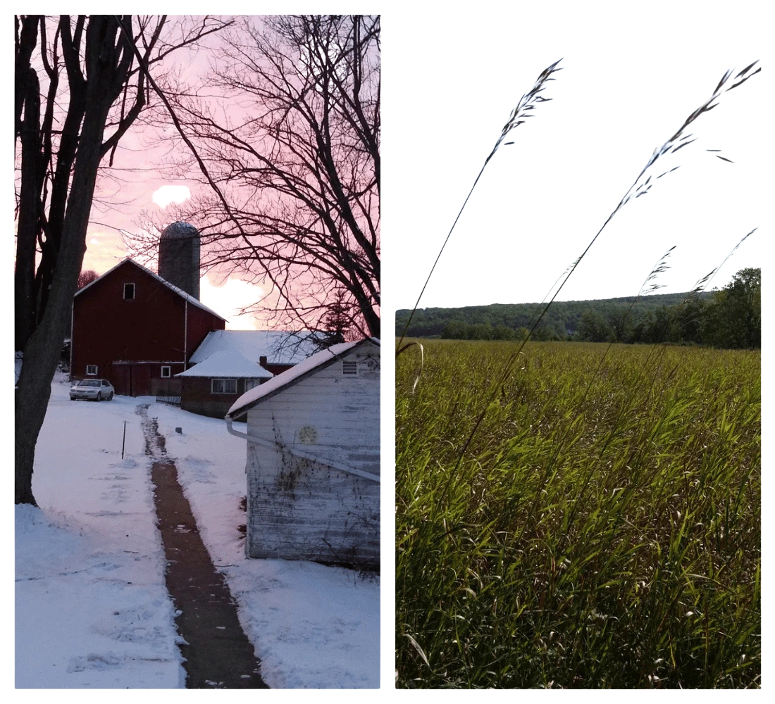 Scenes from Plowshares & Prairie farm through the seasons.
