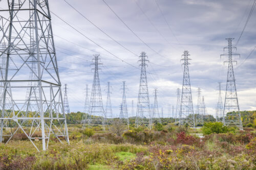 A row of large steel electrical transmission towers carrying high-voltage power lines across a grassy, overgrown field under a cloudy sky